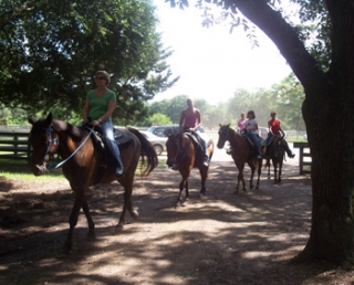  excursión a caballo para principiantes